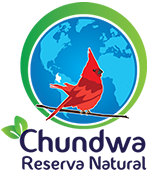 Chundwa